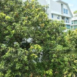 Kovan Road (D19), Apartment #114743202